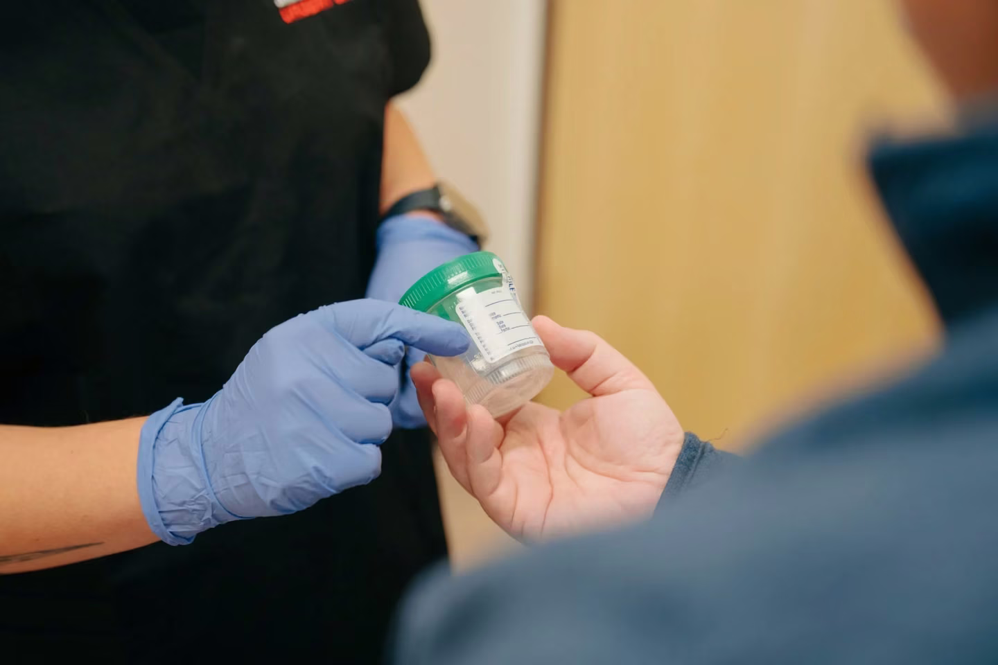 A person wearing blue gloves hands a clear container with a green lid to another person. A person wearing blue gloves hands a clear container with a green lid to another person.