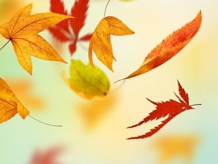 Fall Weather Brings Fall Illnesses