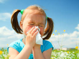 Which is it? Spring Allergies Or A Cold?