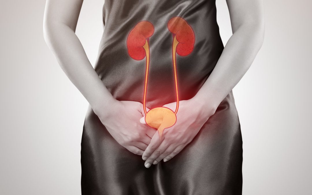 What Causes Urinary Tract Infections?