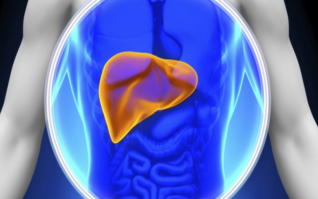 Keeping Your Liver Healthy