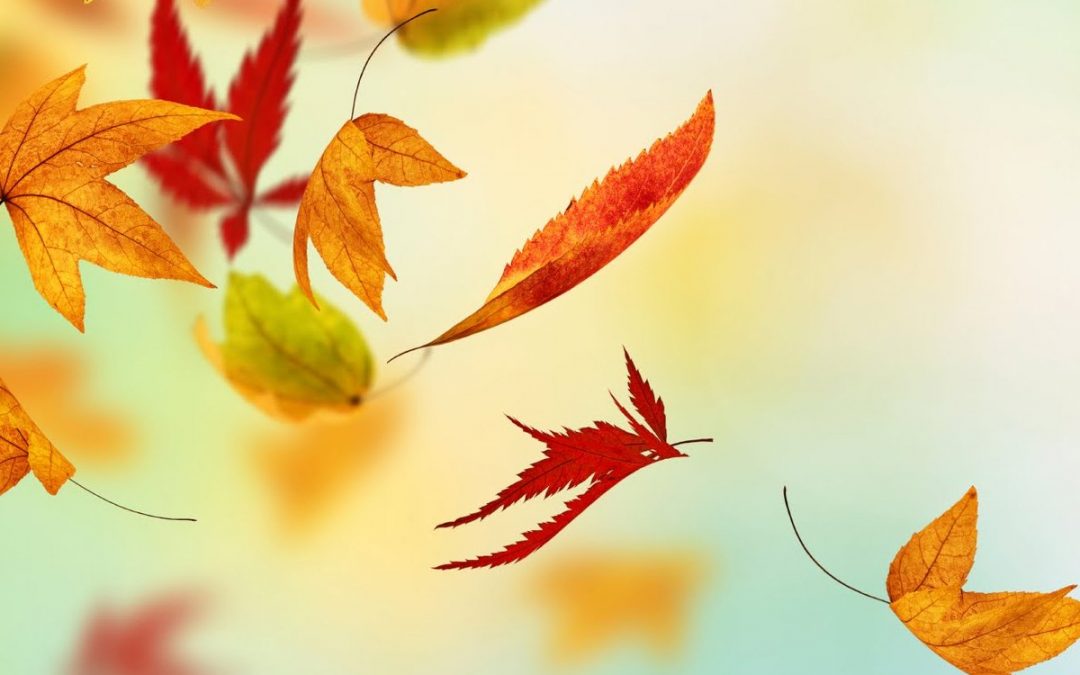 Fall Is Coming- AFC Urgent Care