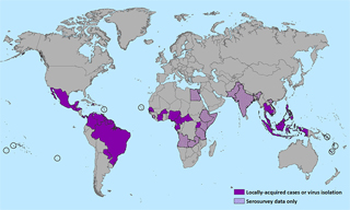 The Zika Virus – What You Need to Know Now: Part Two