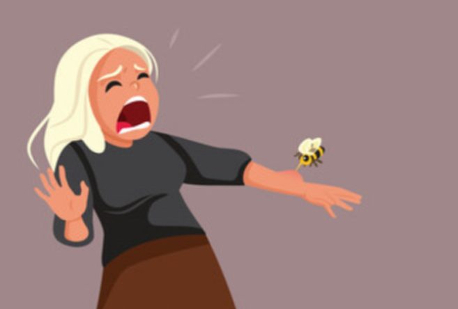 Prepare for Angry Bee Season with AFC Urgent Care Danbury East!